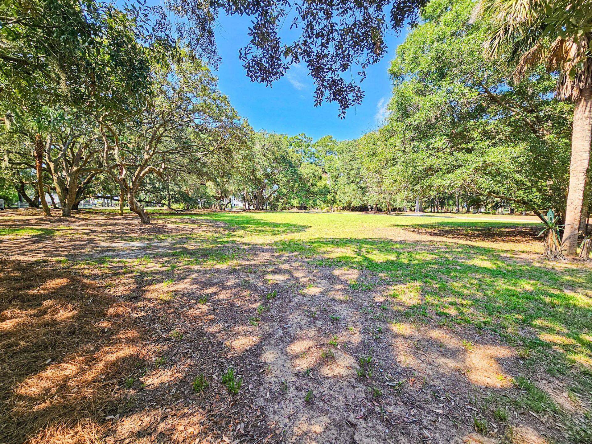 8780 Palmetto Road Photo 113