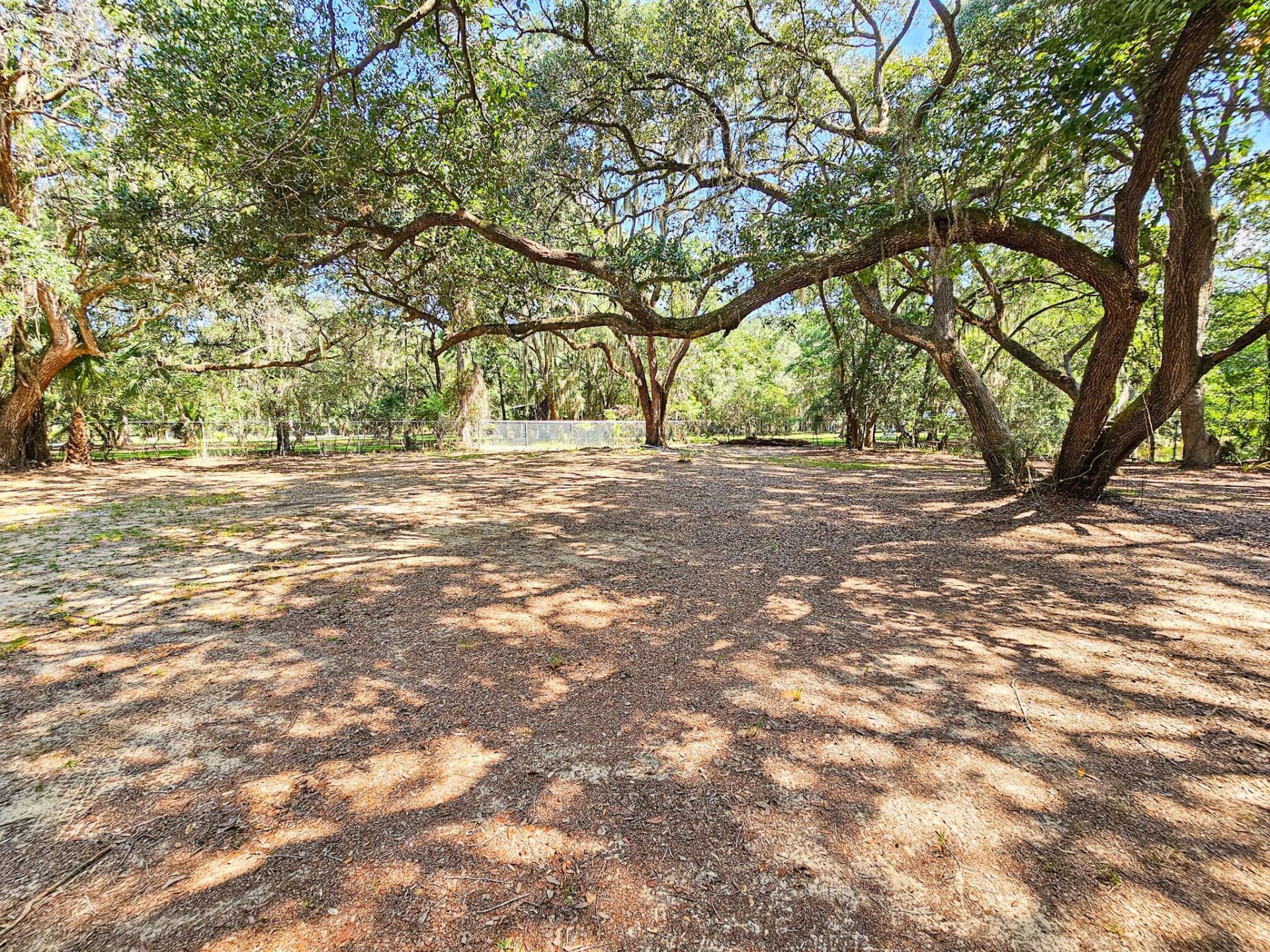 8780 Palmetto Road Photo 7