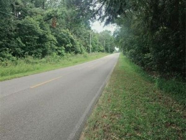 2 Two Mile Road , Irvington, AL 36544