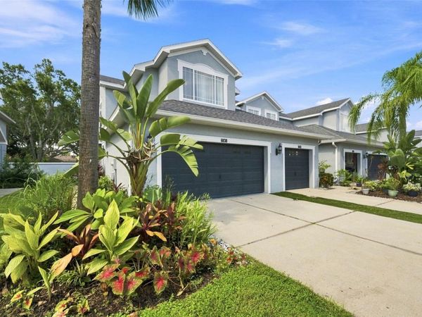 6030 PARKSIDE MEADOW DRIVE , TAMPA, FL 33625