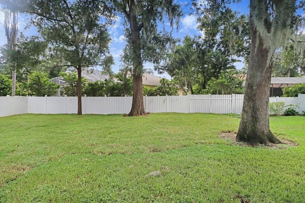 2203 Valrico Forest Drive, Valrico, FL 33594 Photo