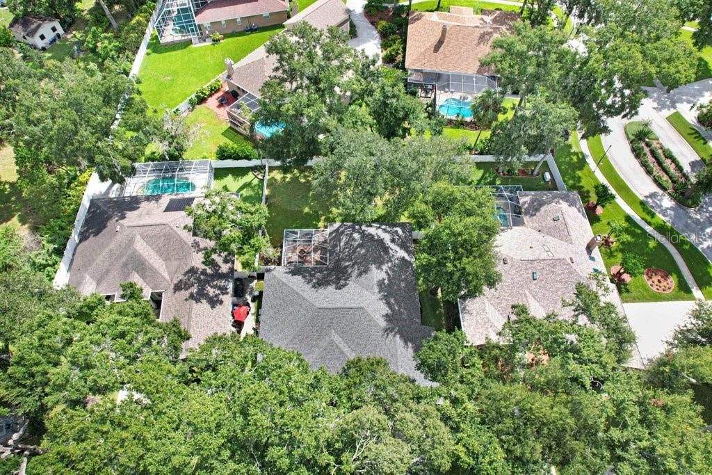 2203 Valrico Forest Drive, Valrico, FL 33594 Photo