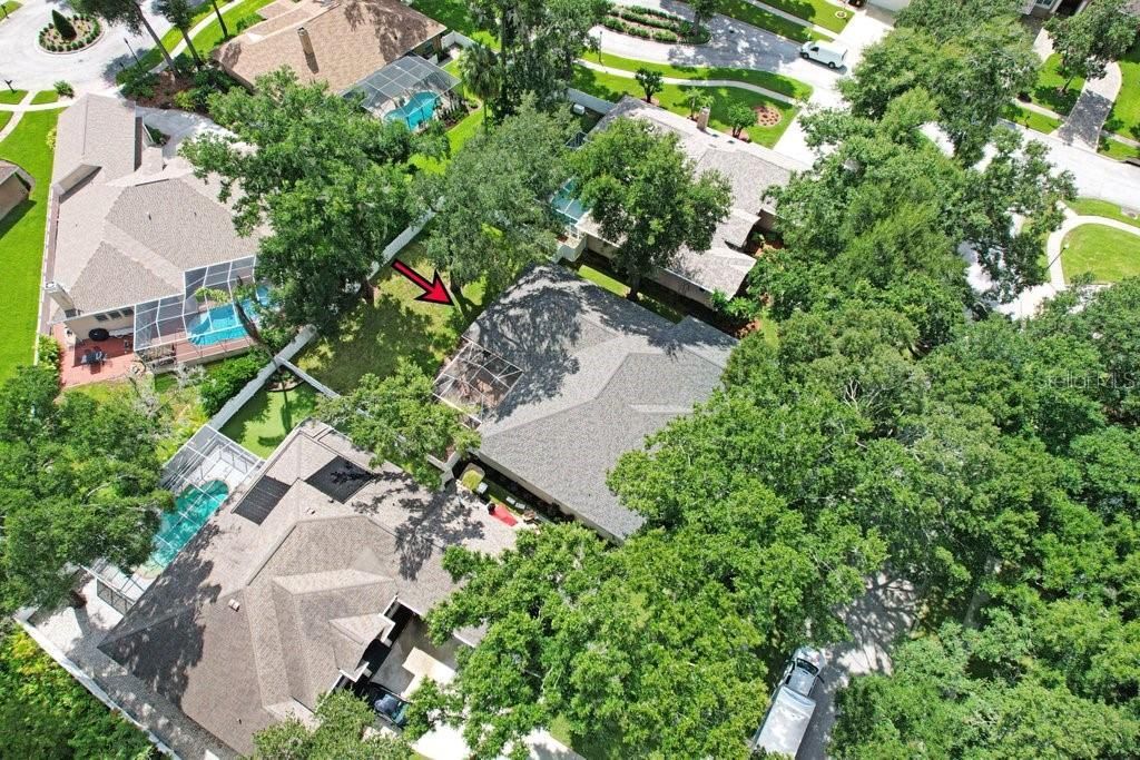 2203 Valrico Forest Drive, Valrico, FL 33594 Photo