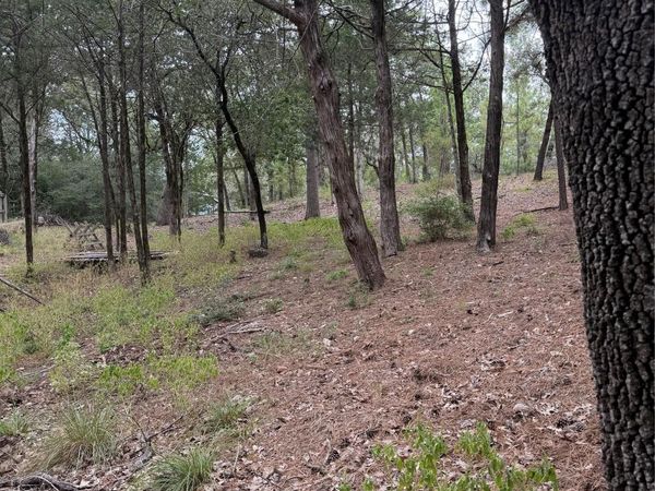 Multiple Lots Aka CT, Bastrop, TX 78602