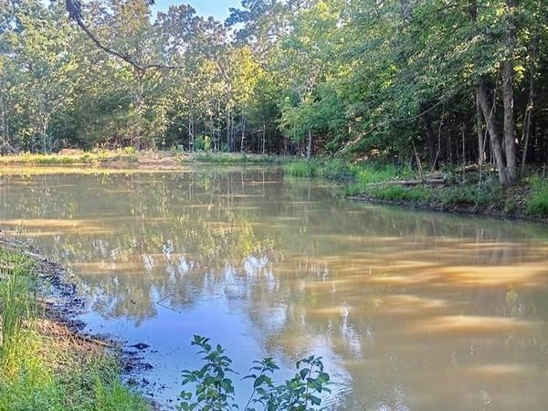 Lot 11 County Road 4180 , Salem, MO 65560