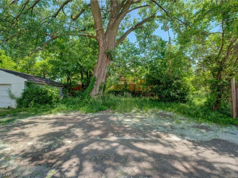 3241 E 116th Street, Cleveland, OH 44120 Photo 38