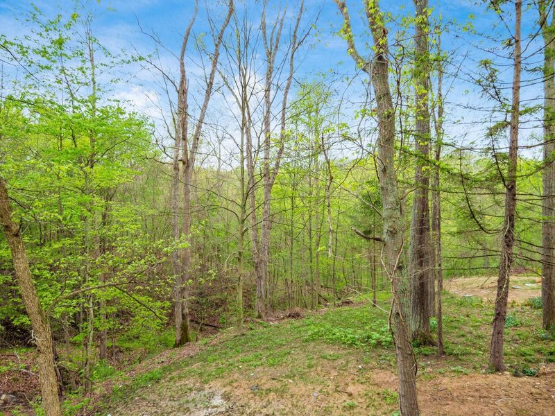 35619 Vickers Road, Logan, OH 43138 Photo 97