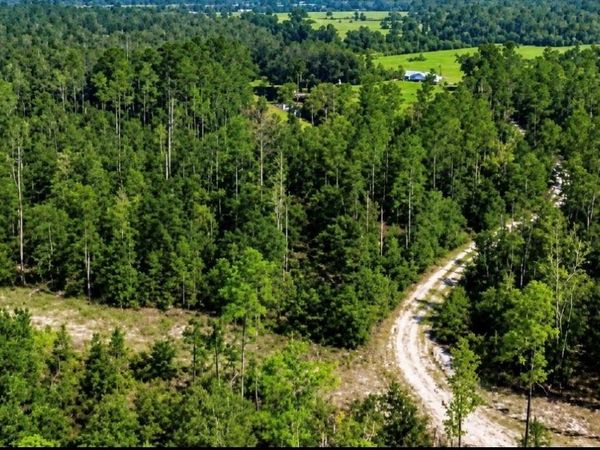 SW CO RD 249, JASPER, FL 32052