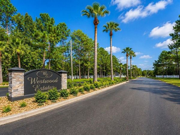 8541 WOODLEAF BOULEVARD , WESLEY CHAPEL, FL 33544