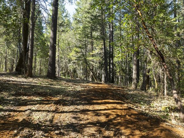 12060 Redwood Highway, Wilderville, OR 97543