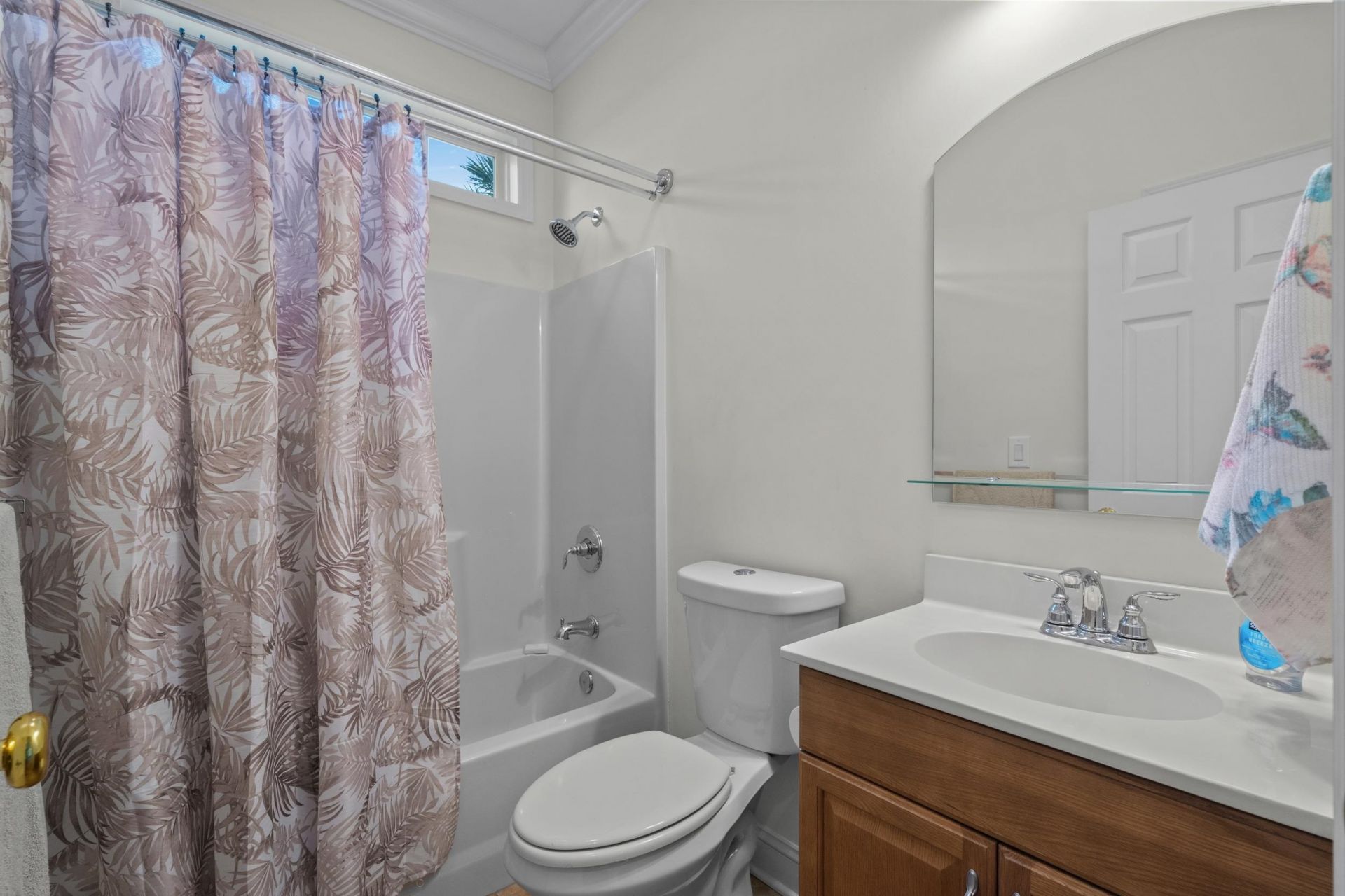 305 Brace Dr. Photo 31