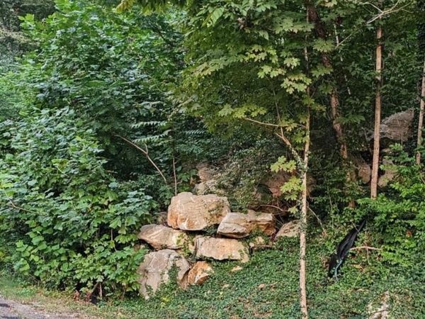 2806 Colice Road SE, Huntsville, AL 35801