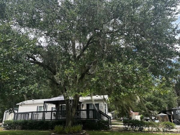 14104 253RD AVENUE ROAD NE, Unit 398, FORT MC COY, FL 32134