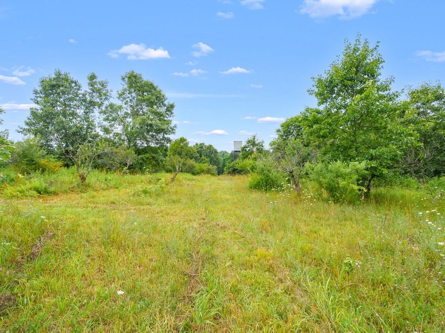 Property Image 45