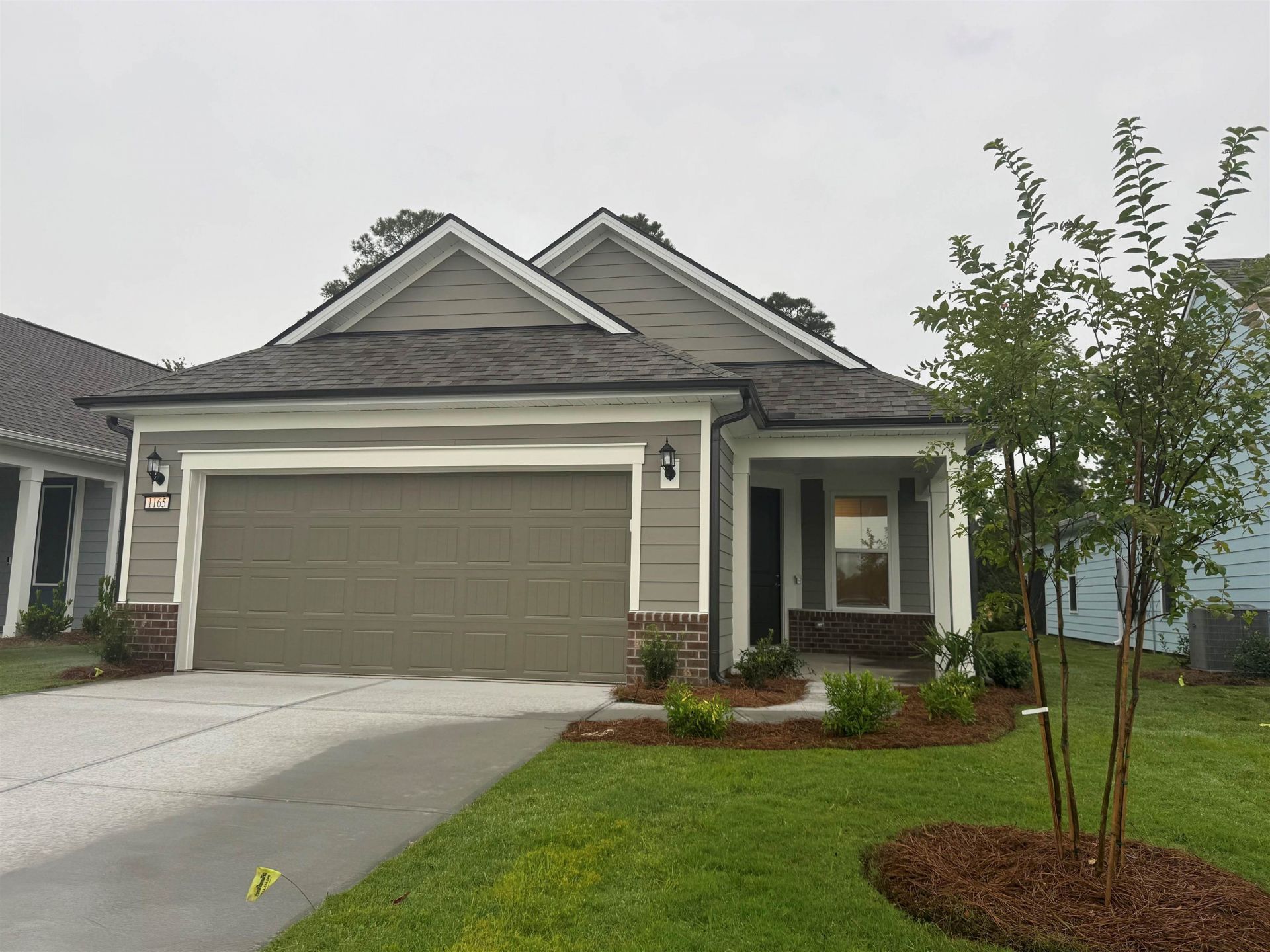 1165 Lady Bird Way Photo 2