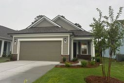 1165 Lady Bird Way photo 4