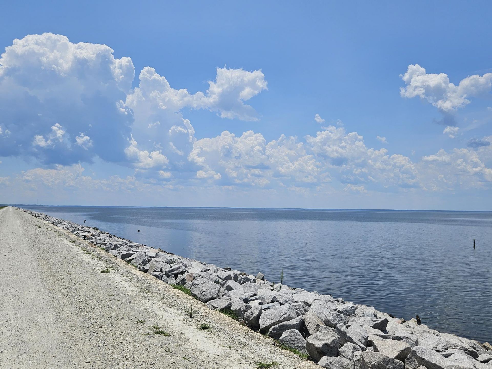 12969 Sc-260 Photo 47