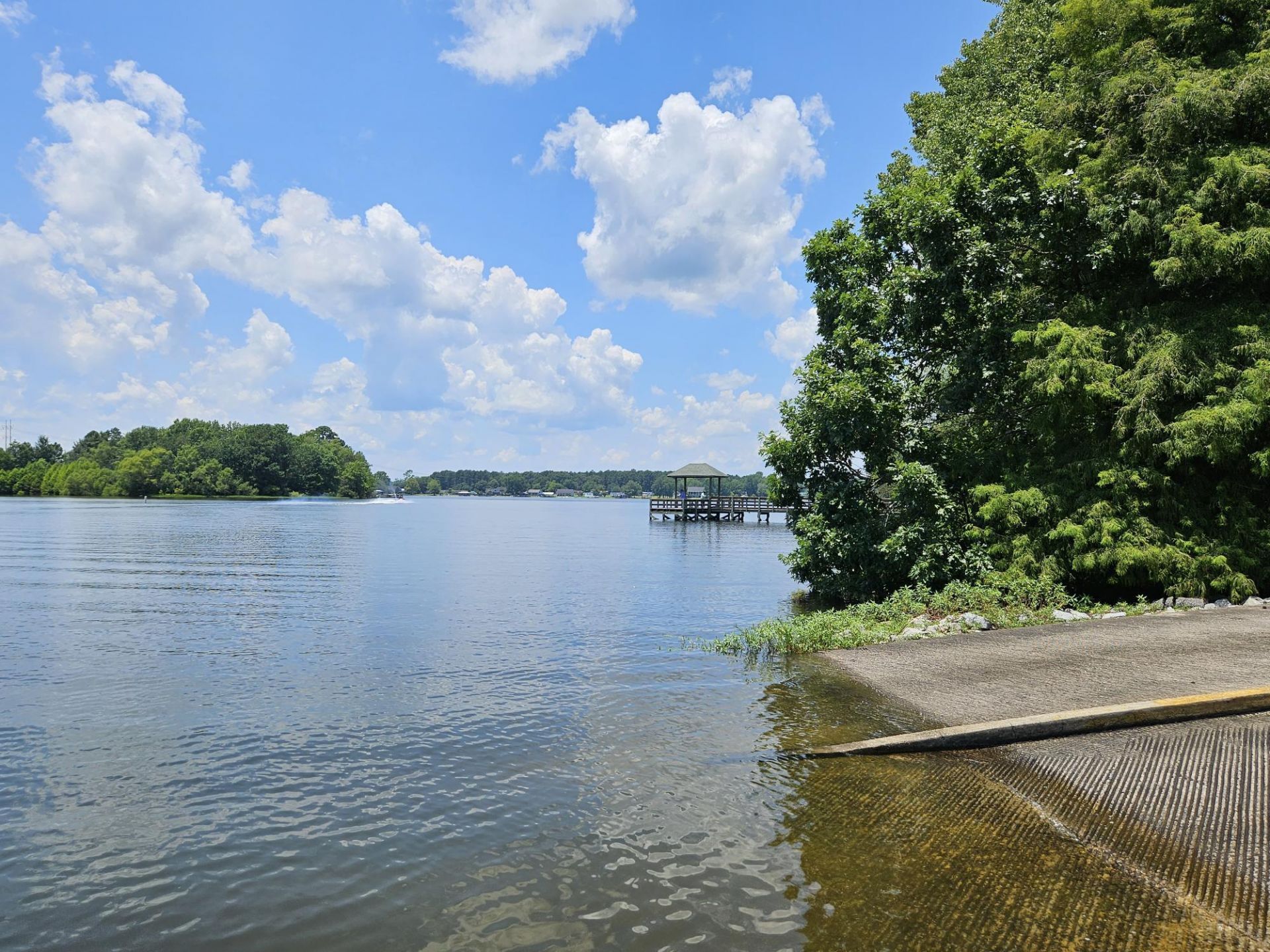 12969 Sc-260 Photo 49