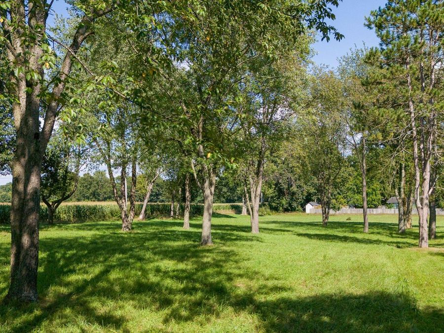 Property Image 64