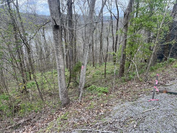 132 Lakeview Dr Lot 132 , Smithville, TN 37166