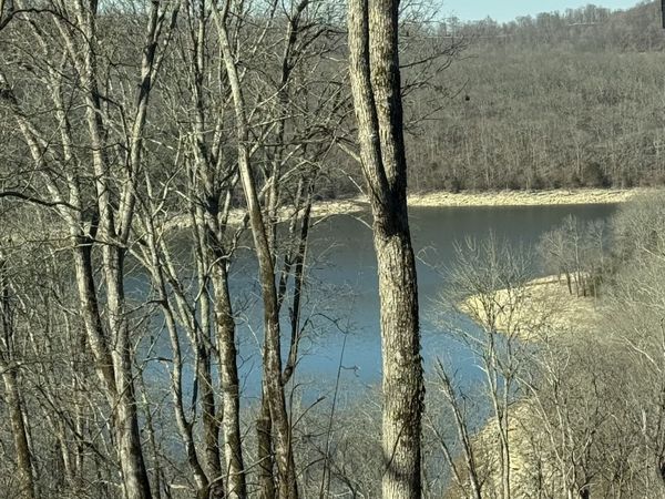 132 Lakeview Dr Lot 132 , Smithville, TN 37166