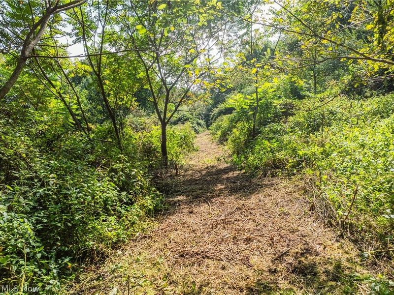 Luneman Road, Scio, OH 43988 Photo 10