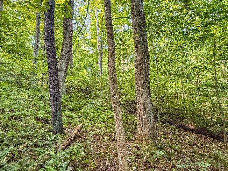 Luneman Road, Scio, OH 43988 Photo 17