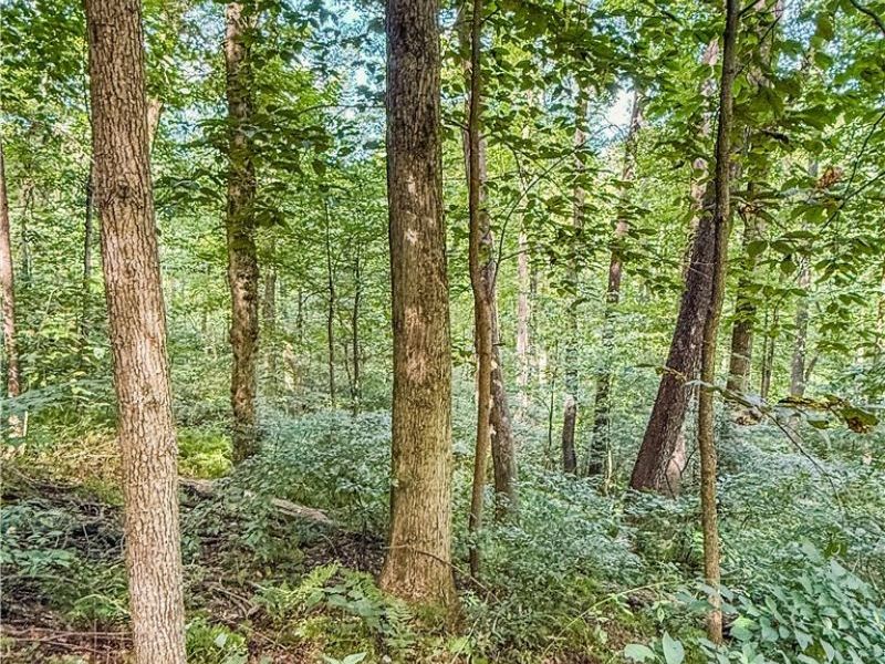 Luneman Road, Scio, OH 43988 Photo 18