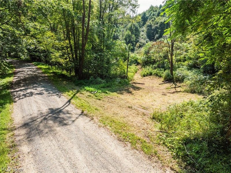 Luneman Road, Scio, OH 43988 Photo 2