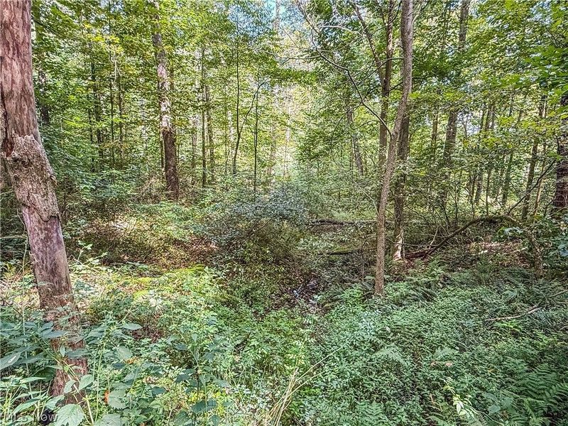 Luneman Road, Scio, OH 43988 Photo 21