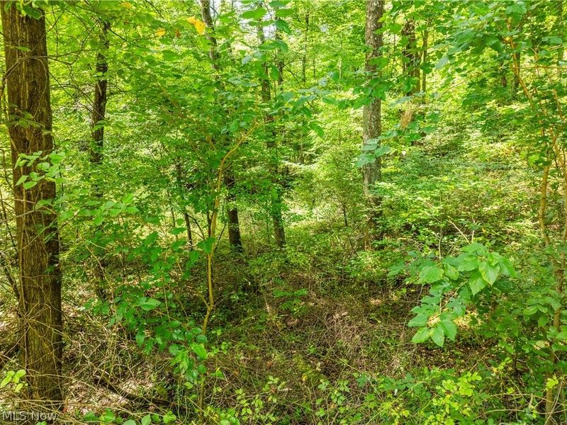 Luneman Road, Scio, OH 43988 Photo 24