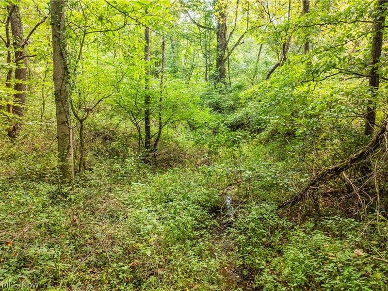 Luneman Road, Scio, OH 43988 Photo 26