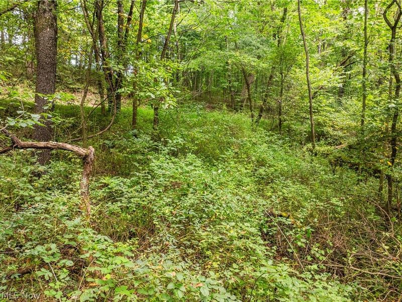 Luneman Road, Scio, OH 43988 Photo 27