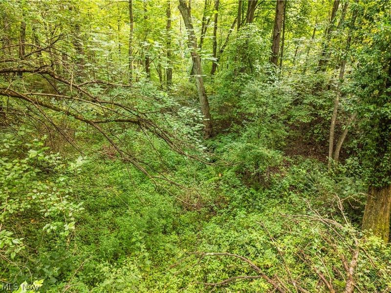 Luneman Road, Scio, OH 43988 Photo 28