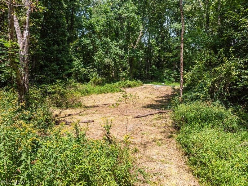 Luneman Road, Scio, OH 43988 Photo 3