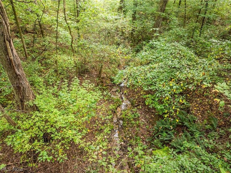Luneman Road, Scio, OH 43988 Photo 30