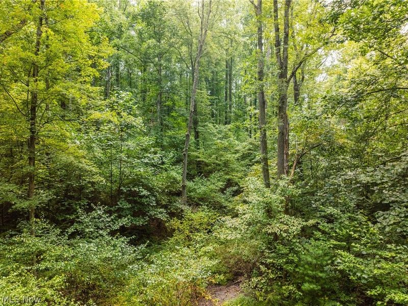 Luneman Road, Scio, OH 43988 Photo 31