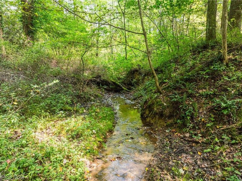 Luneman Road, Scio, OH 43988 Photo 34