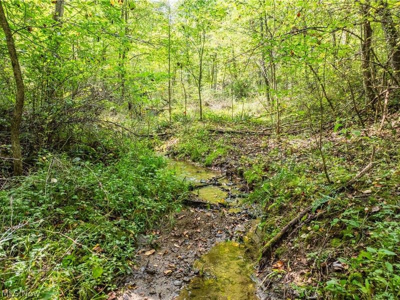 Luneman Road, Scio, OH 43988 Photo 35