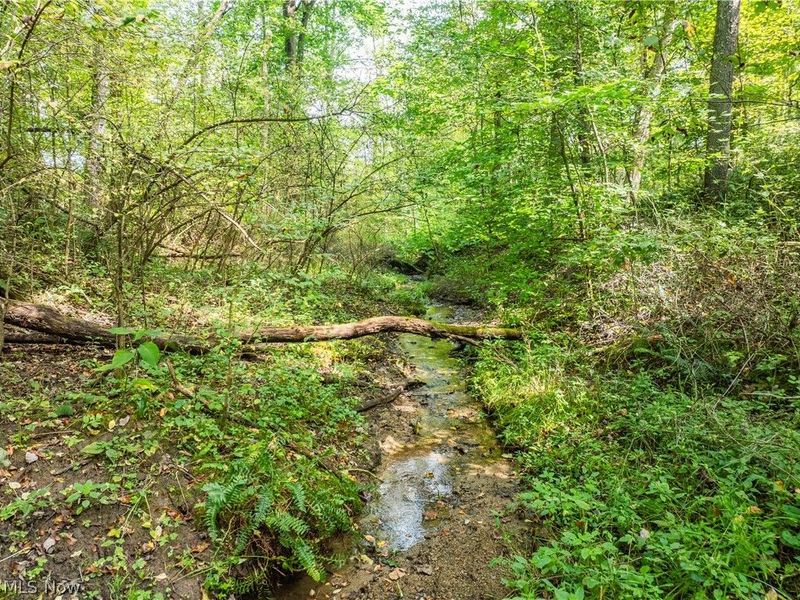 Luneman Road, Scio, OH 43988 Photo 36