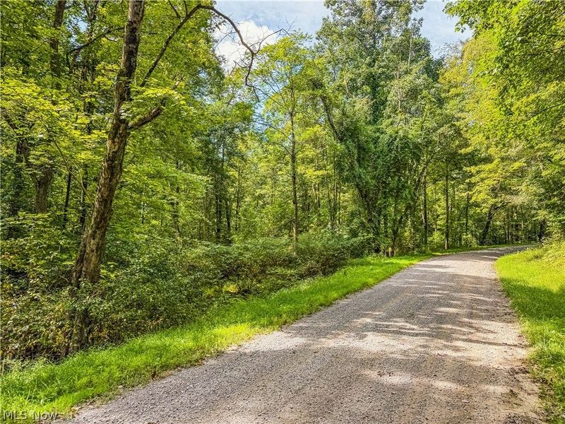 Luneman Road, Scio, OH 43988 Photo 37
