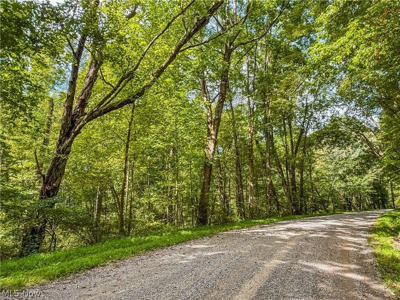 Luneman Road, Scio, OH 43988 Photo 38