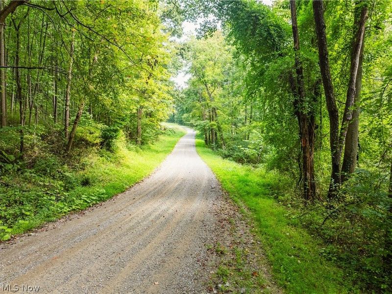 Luneman Road, Scio, OH 43988 Photo 40