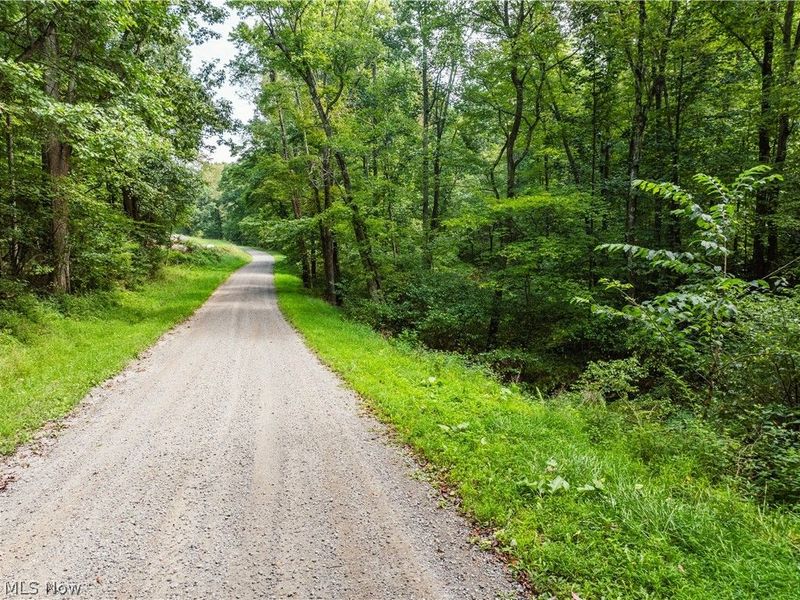 Luneman Road, Scio, OH 43988 Photo 41