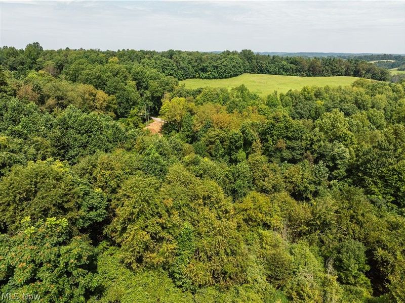 Luneman Road, Scio, OH 43988 Photo 43