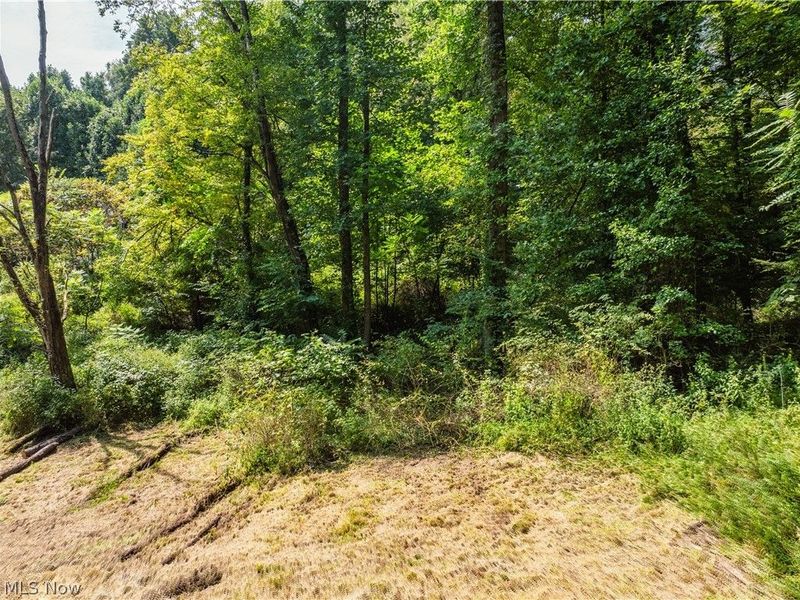 Luneman Road, Scio, OH 43988 Photo 5