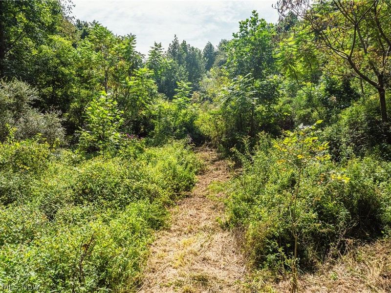 Luneman Road, Scio, OH 43988 Photo 6