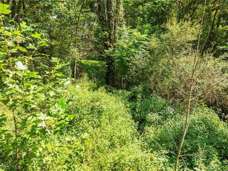 Luneman Road, Scio, OH 43988 Photo 7
