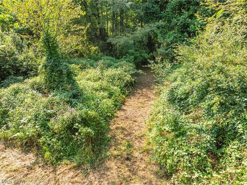 Luneman Road, Scio, OH 43988 Photo 8
