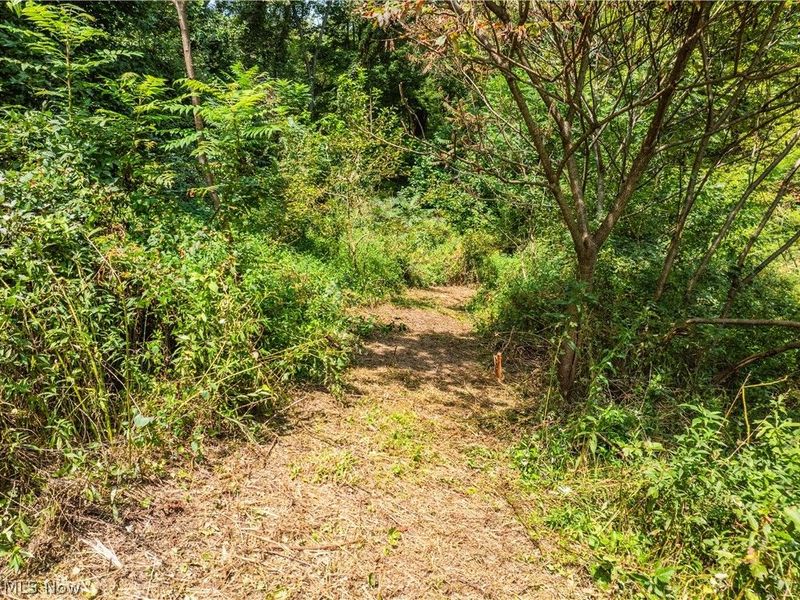 Luneman Road, Scio, OH 43988 Photo 9
